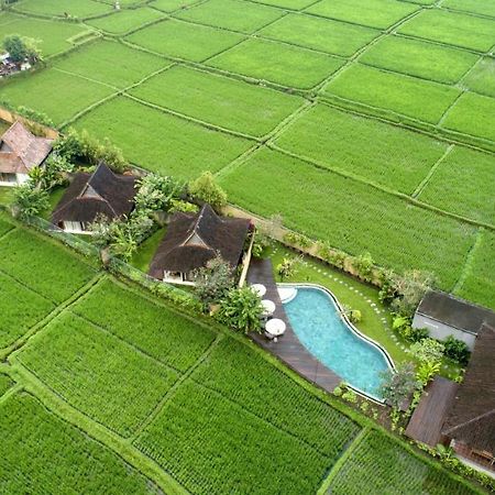 Kabinawa Ubud Villas By Pramana Villas Ngoại thất bức ảnh